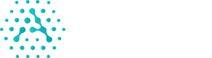 Must‑Have Analytics
