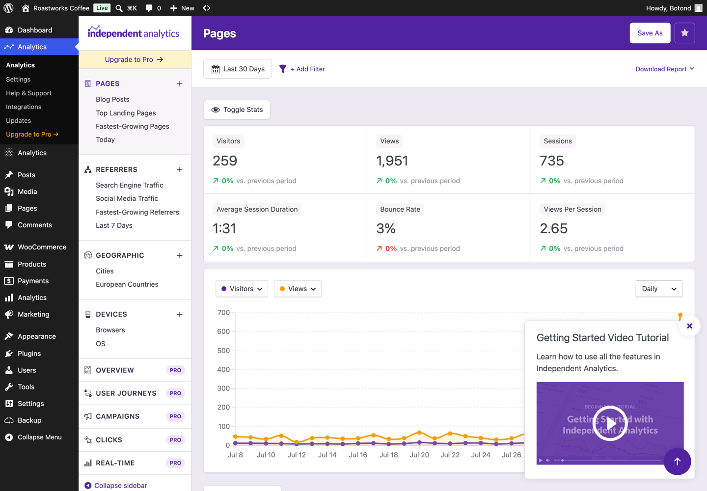 Independent Analytics dashboard showing visitors, views and sessions with the report sidebar