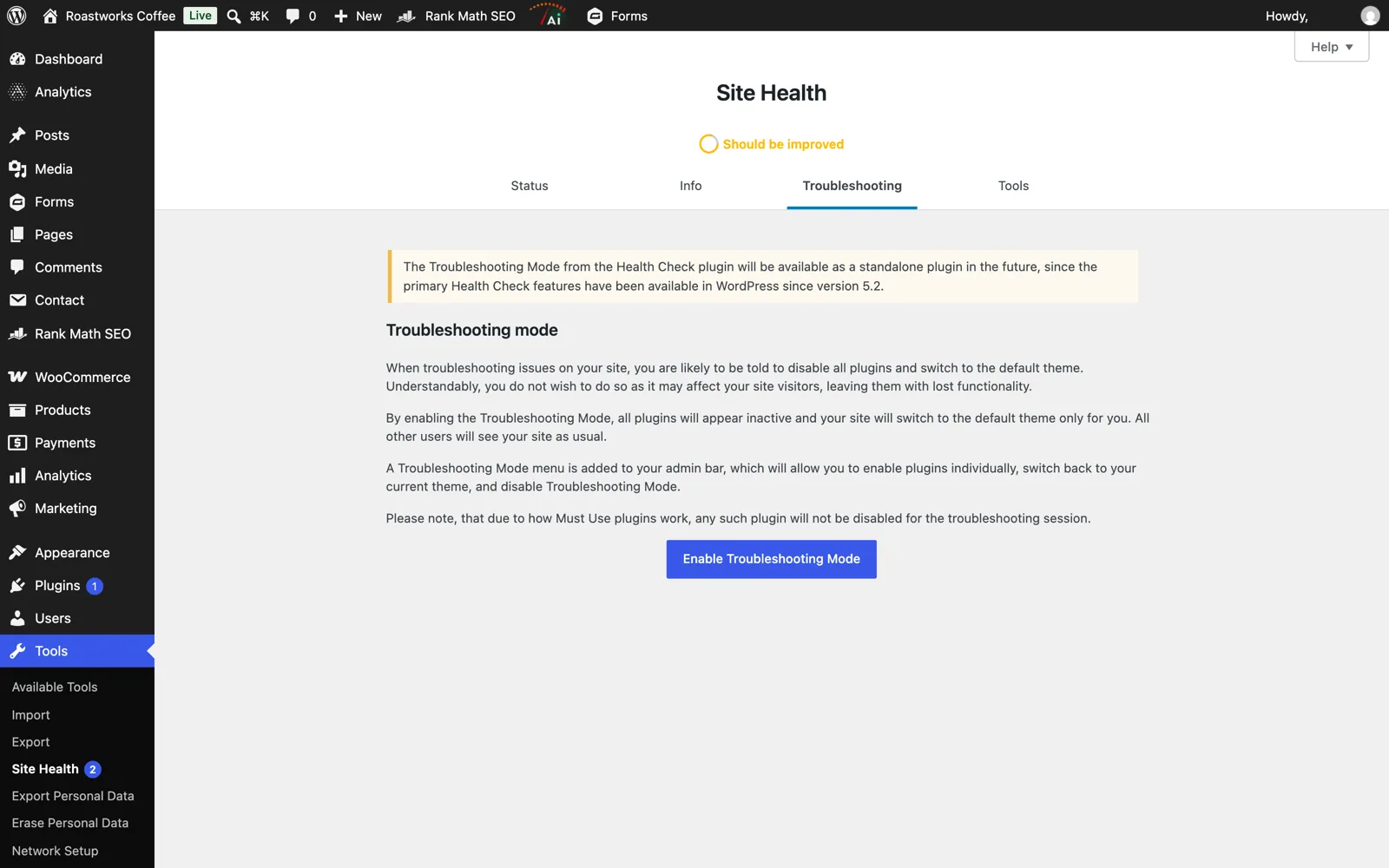Site Health Troubleshooting tab added by the Health Check plugin